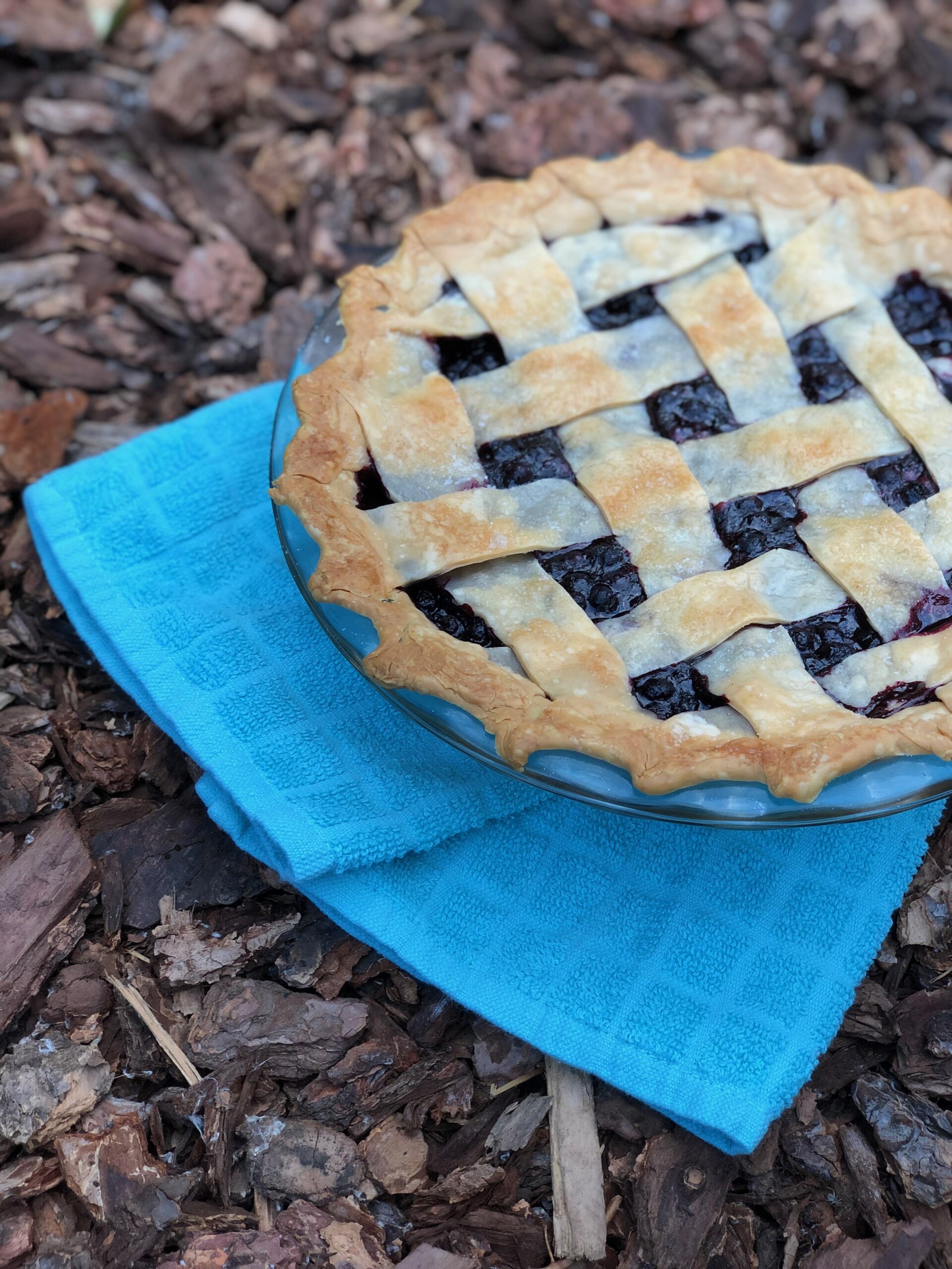 How to make: Alaskan blueberry pie